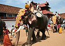 Thrippunithura-Elephant-end-of-pooram-2 crop.jpg