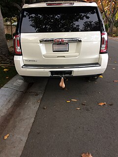 <span class="mw-page-title-main">Truck nuts</span> Automobile accessory resembling a dangling scrotum