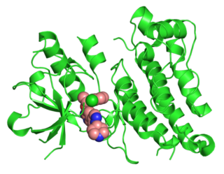 <span class="mw-page-title-main">Anaplastic lymphoma kinase</span> Protein-coding gene in the species Homo sapiens