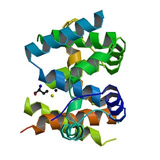 <span class="mw-page-title-main">Cell division control protein 4</span>