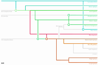 <span class="mw-page-title-main">Plastid evolution</span> Evolution