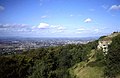 Cliff faces on Leckhampton Hill