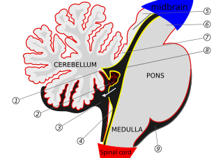 <span class="mw-page-title-main">Median aperture</span>