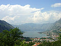 Kotor