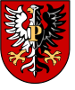 Płock County