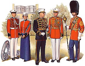 PlateVII Band.jpg