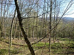 Hill overlooking the site of Shaft No. 2.