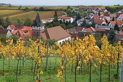 Skyline of Ranschbach