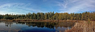 <span class="mw-page-title-main">Sifton Bog</span>