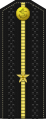 Kiçi leýtenant (Turkmen Naval Forces)[8]