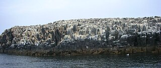 <span class="mw-page-title-main">Staple Island</span>