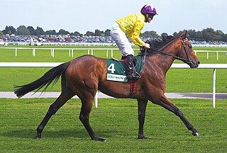 <span class="mw-page-title-main">Sea the Stars</span> Irish-bred Thoroughbred racehorse and sire