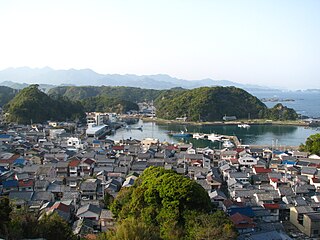 <span class="mw-page-title-main">Taiji dolphin drive hunt</span> Annual event in Taiji, Wakayama Prefecture, Japan