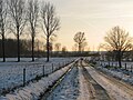 * Nomination Winter landscape of Thoricourt), Belgium. -- Jean-Pol GRANDMONT 09:45, 15 September 2011 (UTC) please look at the horizont --Taxiarchos228 09:52, 15 September 2011 (UTC) the correction was to much, I have corrected it myself --Taxiarchos228 20:13, 15 September 2011 (UTC) * Promotion Good quality. --Taxiarchos228 20:13, 15 September 2011 (UTC)