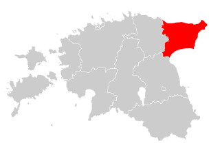 <span class="mw-page-title-main">Riigikogu electoral district no. 7</span> Electoral district of Estonia