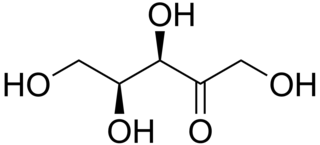 <span class="mw-page-title-main">Pentosuria</span> Medical condition