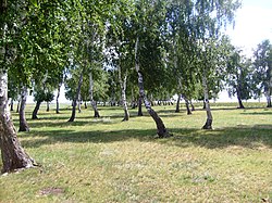 Landscape in Tabunsky District