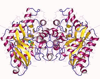 <span class="mw-page-title-main">Aminocarboxymuconate-semialdehyde decarboxylase</span>