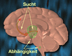 Sucht und Abhängigkeit – neuronaler Mechanismus