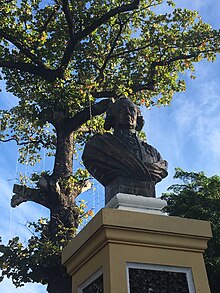 Un buste d’homme sur un piédestal, photographié en contre-plongée avec un arbre en arrière-plan.