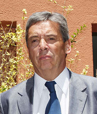 <span class="mw-page-title-main">Carlos Ominami</span> Chilean economist and politician (born 1950)