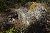 Dolmen de la Rouquette