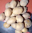 Irish potatoes.jpg