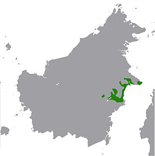 <span class="mw-page-title-main">Kutainese language</span> Austronesian language spoken in Kalimantan, Indonesia