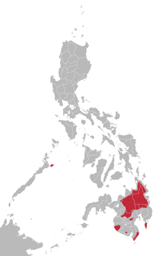 <span class="mw-page-title-main">Manobo languages</span> Subgroup of the Austronesian language family