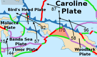 <span class="mw-page-title-main">Maoke plate</span> Small tectonic plate in western New Guinea