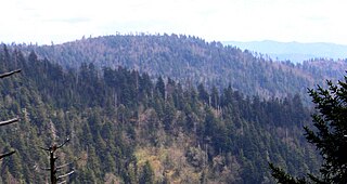 <span class="mw-page-title-main">Marks Knob</span> Mountain in the southeastern United States