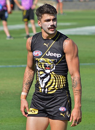 <span class="mw-page-title-main">Oleg Markov</span> Australian rules footballer