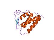 1ijz​: Решење структуре људског ИЛ-13