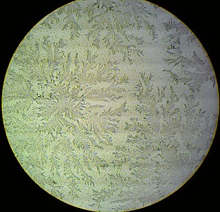 <span class="mw-page-title-main">Prelabor rupture of membranes</span> Medical condition