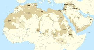 <span class="mw-page-title-main">Semitic languages</span> Branch of the Afroasiatic languages