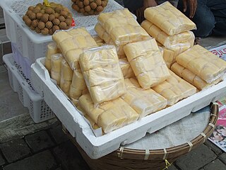 Tapai Indonesian and Southeast Asian traditional fermented of rice