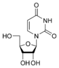 Chemical structure of uridină