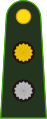 Argentina-Army-OF-1a.svg