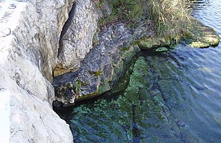 <span class="mw-page-title-main">Barton Springs</span> United States historic place