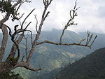 View over a mountain valley