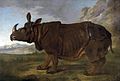 Clara (rhinoceros)