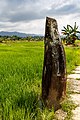 * Nomination A menhir in a rice paddy near Donggongon, Sabah. --Cccefalon 18:09, 2 May 2013 (UTC) * Promotion Good quality. --Coyau 20:26, 2 May 2013 (UTC)