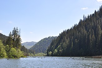 Lacul Roșu, vara