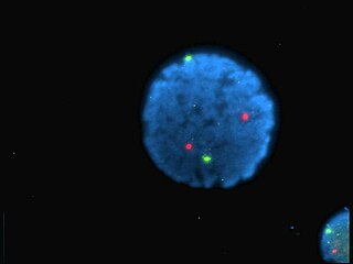 <span class="mw-page-title-main">Fluorophore</span> Agents that emit light after excitation by light