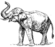 Indian elephant (PSF).png