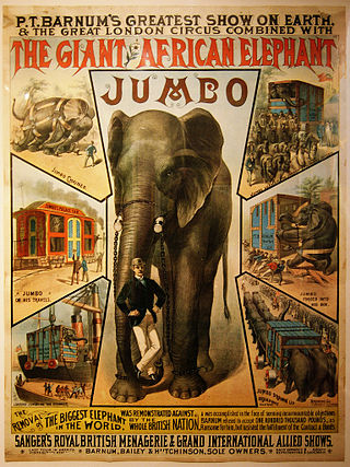 <span class="mw-page-title-main">Jumbo</span> Famous large elephant