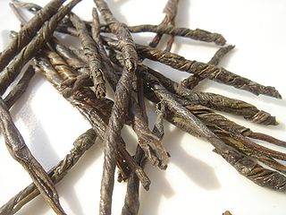 <span class="mw-page-title-main">Kuding</span> Bitter infusion used in traditional Chinese medicine