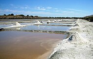 Havssalt under utvinning på Île de Ré.