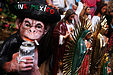 24 Commons:Picture of the Year/2011/R1/Mexican curious monkey.jpg