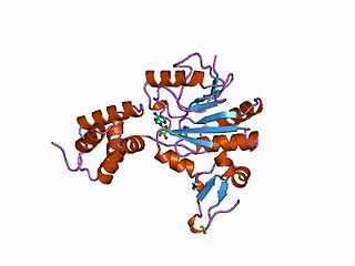 <span class="mw-page-title-main">Protein-glutamate O-methyltransferase</span>